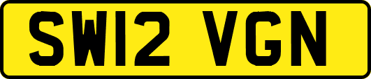 SW12VGN