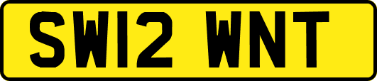 SW12WNT