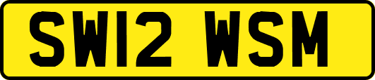 SW12WSM