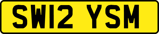 SW12YSM