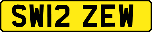 SW12ZEW