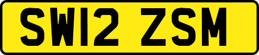 SW12ZSM