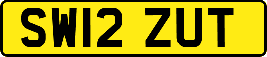 SW12ZUT