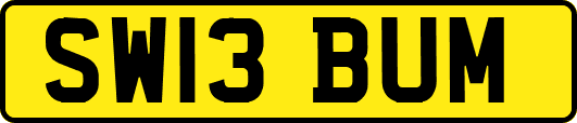 SW13BUM