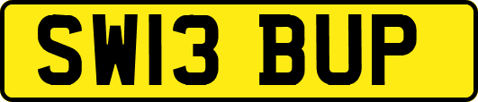 SW13BUP