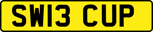 SW13CUP