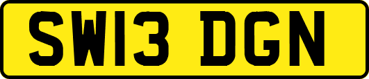SW13DGN
