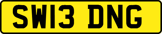 SW13DNG
