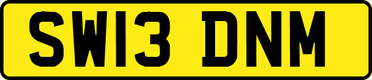 SW13DNM