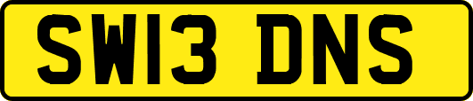 SW13DNS