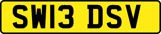 SW13DSV