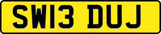 SW13DUJ