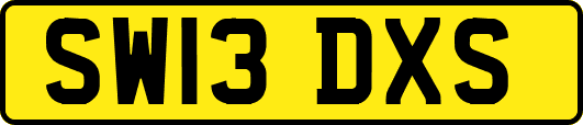 SW13DXS