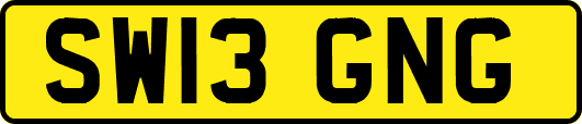 SW13GNG