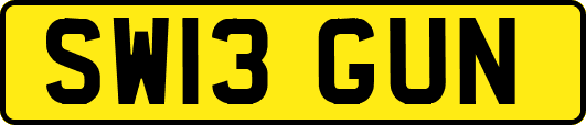 SW13GUN