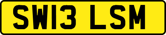 SW13LSM