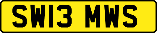 SW13MWS