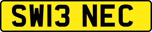 SW13NEC