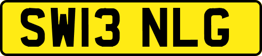 SW13NLG
