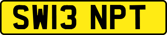 SW13NPT