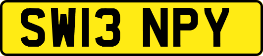 SW13NPY