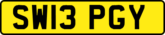 SW13PGY