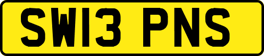 SW13PNS