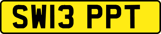 SW13PPT