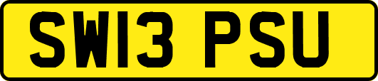 SW13PSU