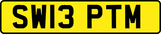 SW13PTM