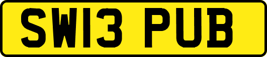 SW13PUB