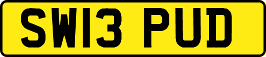 SW13PUD