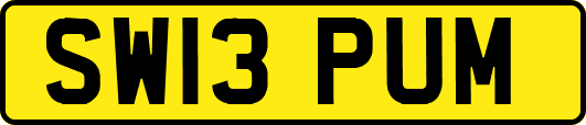 SW13PUM