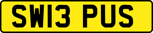 SW13PUS
