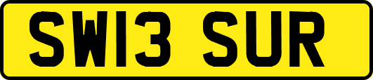SW13SUR