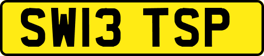 SW13TSP