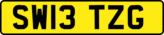 SW13TZG