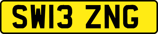 SW13ZNG