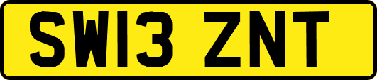 SW13ZNT