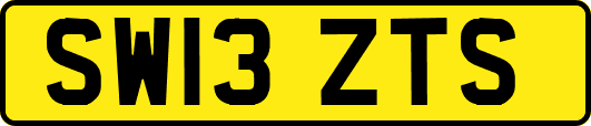 SW13ZTS