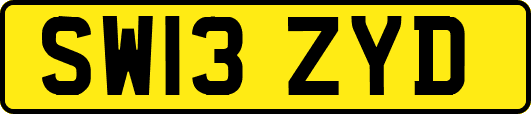 SW13ZYD
