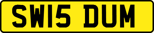 SW15DUM