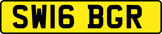 SW16BGR