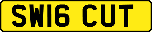 SW16CUT