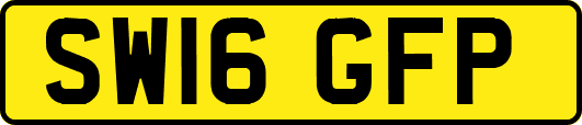 SW16GFP
