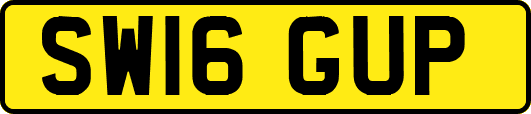 SW16GUP