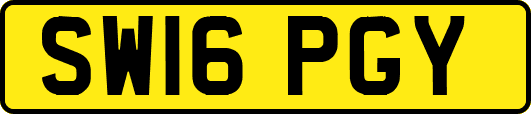 SW16PGY