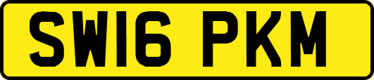 SW16PKM