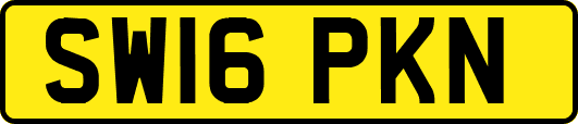 SW16PKN