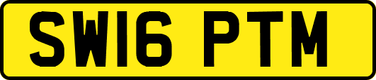 SW16PTM